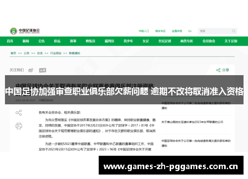中国足协加强审查职业俱乐部欠薪问题 逾期不改将取消准入资格